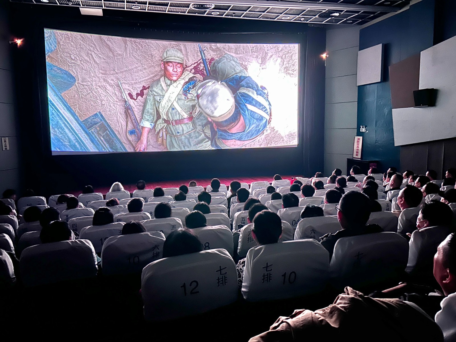 20241112_112735_684143.jpg 4.jpg